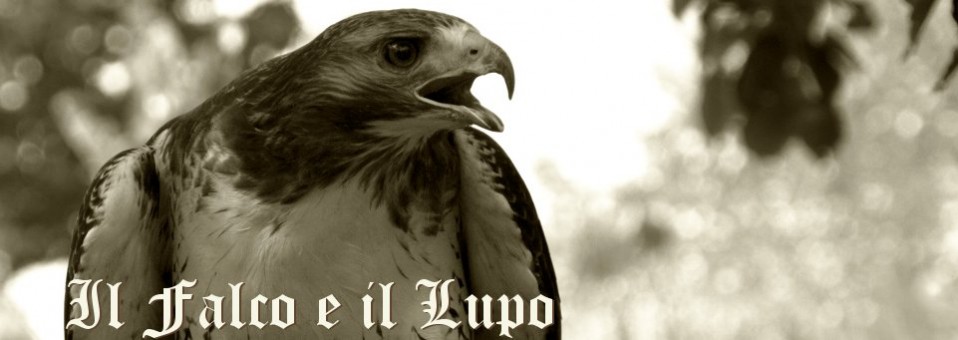 Il Falco e il Lupo